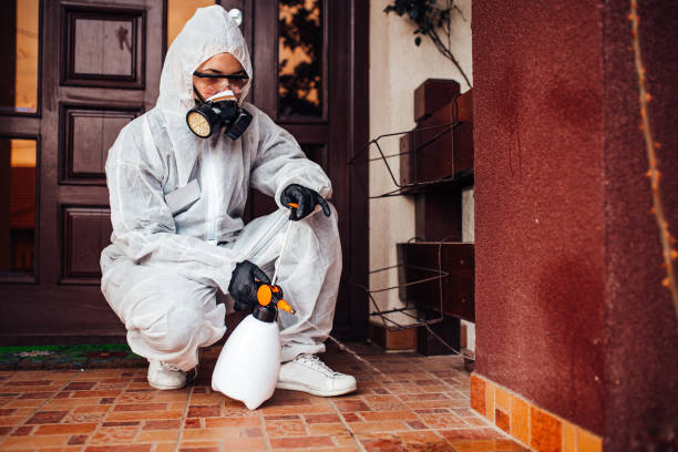 Reliable Cockroach Control contractor in Carrizo Springs, TX by Nex Pest Control